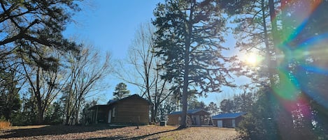 A cabin surrounded by tall trees with a clear sky.