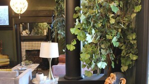A living room with a fireplace, a hanging plant, a lamp, and a statue of a monkey. - Casa Mina 4 Central Rio Grande Historic District (El Paso)