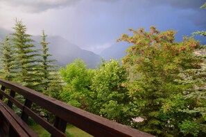 4 bedrooms - Alpine Chalet La Conchette (Enchastrayes)
