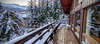 Alpine Chalet La Conchette