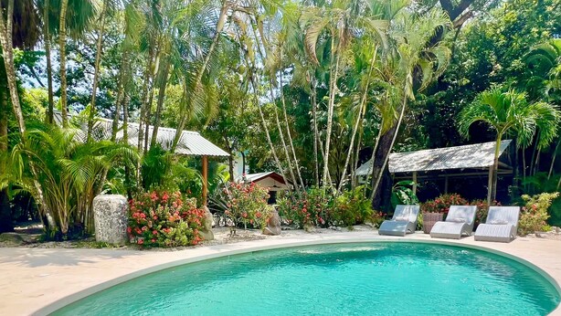 Piscina rodeada por vegetação exuberante e algumas cadeiras de descanso.