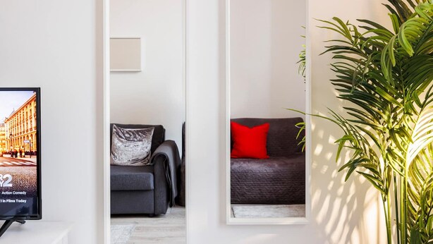Un salon moderne avec un canapé gris, un coussin rouge et une grande plante en pot.