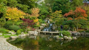 Un jardín tranquilo con un estanque, una cascada y varios árboles.