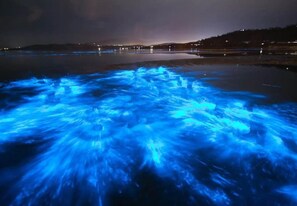 A nighttime view of a body of water with blue light effects on the surface.