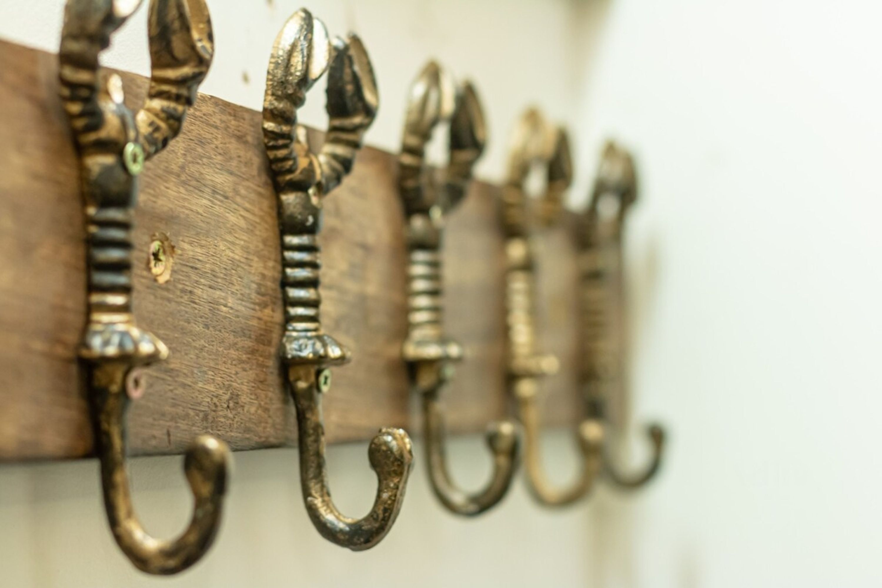 Uma fileira de ganchos metálicos decorativos fixados numa tábua de madeira.