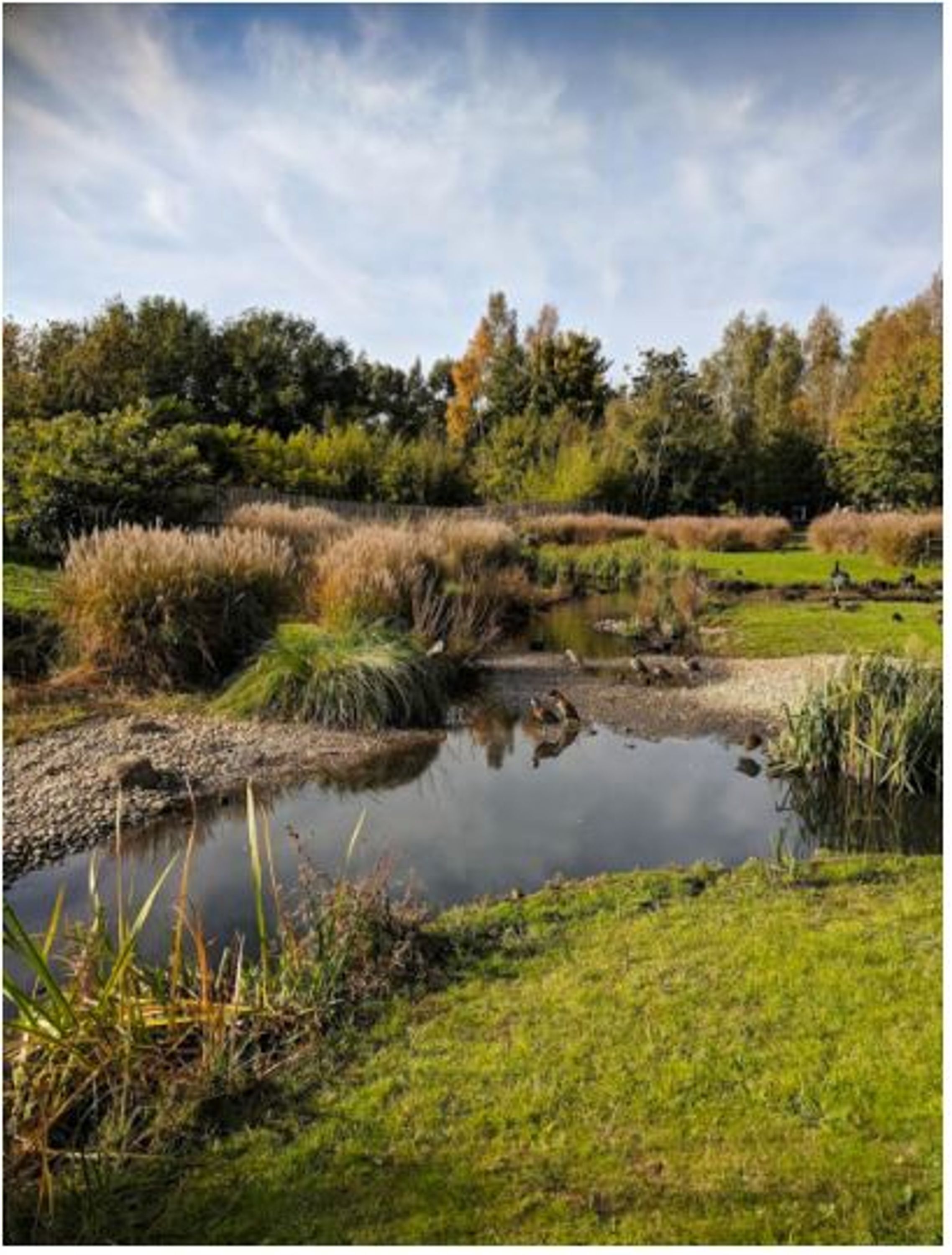 Apartamento | 1 dormitorio