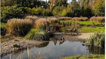 Apartemen | 1 kamar tidur