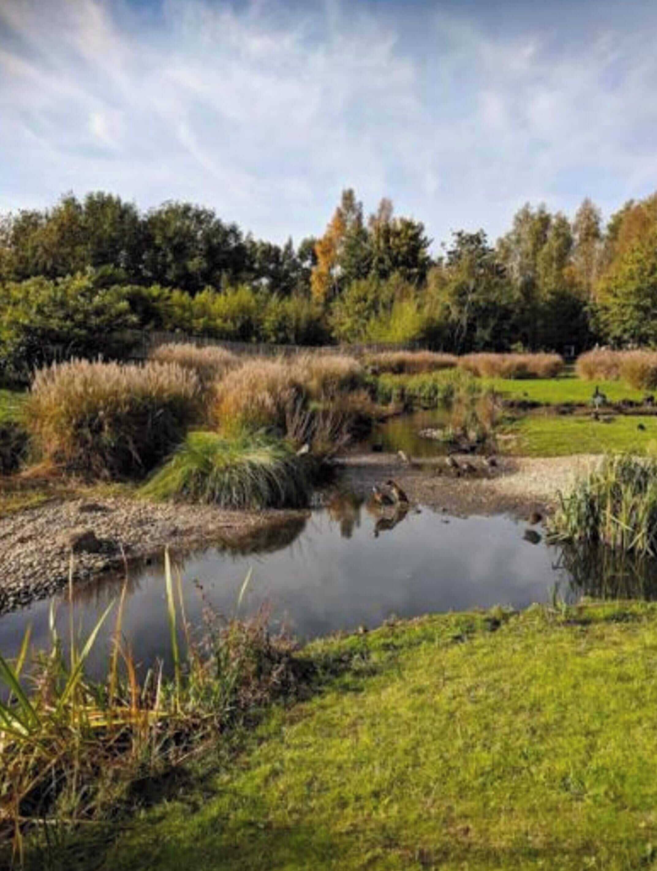 Apartment | 1 bedroom