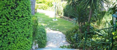 Un sendero de piedra que conduce a un jardín con abundante vegetación y una palmera.