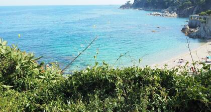 Apartament amb Piscina i Parquing Baixos amb Jard