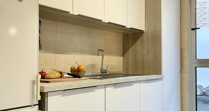 Two Bedroom Apartment With 5 Balconies