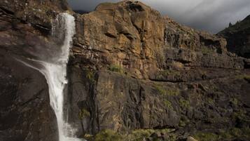Căn hộ | 1 phòng ngủ