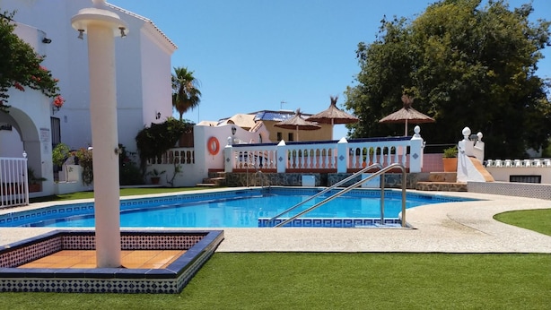 A swimming pool with a tiled deck, a palm tree, and a white building with a balcony.