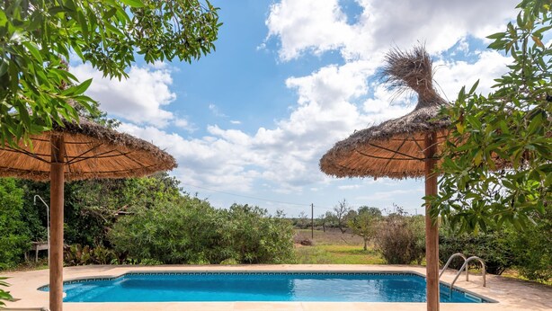 Una piscina con dos sombrillas de paja, rodeada de sillones de descanso y follaje.