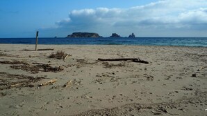 Ein Sandstrand mit vereinzelten Treibholzstücken und einem Wegweiser.