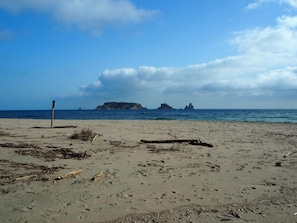 A sandy beach with scattered driftwood and a signpost. - Apartamento Reformado CON Vistas AL MAR (Torroella de Montgrí)