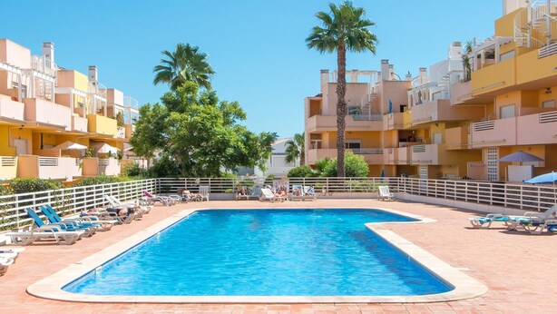 A swimming pool surrounded by lounge chairs and a palm tree. - Casa Nobre Magnifico Apartamento com Piscina (Tavira)
