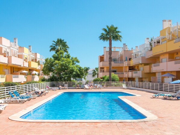 Ein Swimmingpool, umgeben von Liegestühlen und einer Palme.