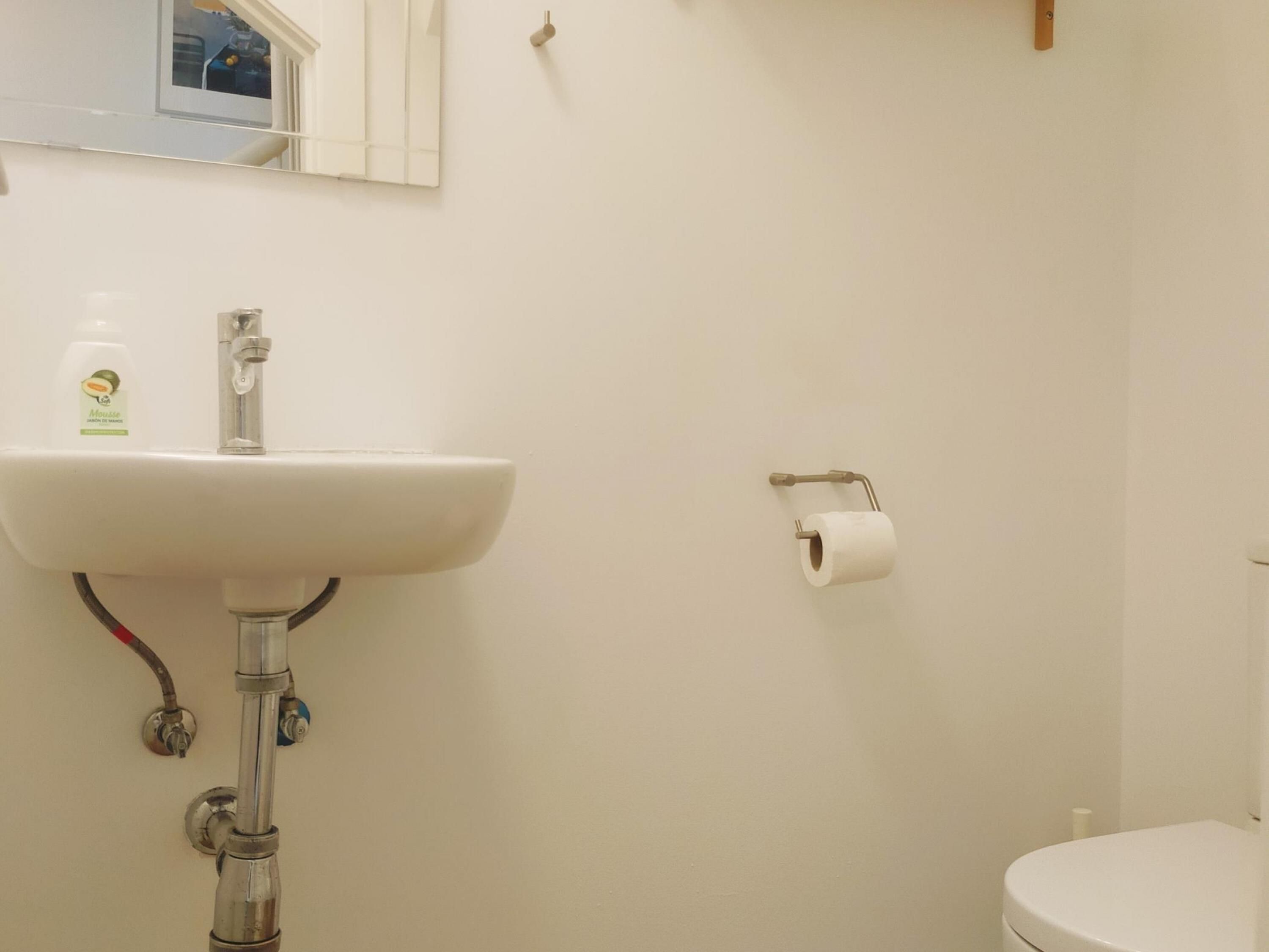 Een badkamer met een wit wastafel, een toilet en een rol toiletpapier aan de muur.