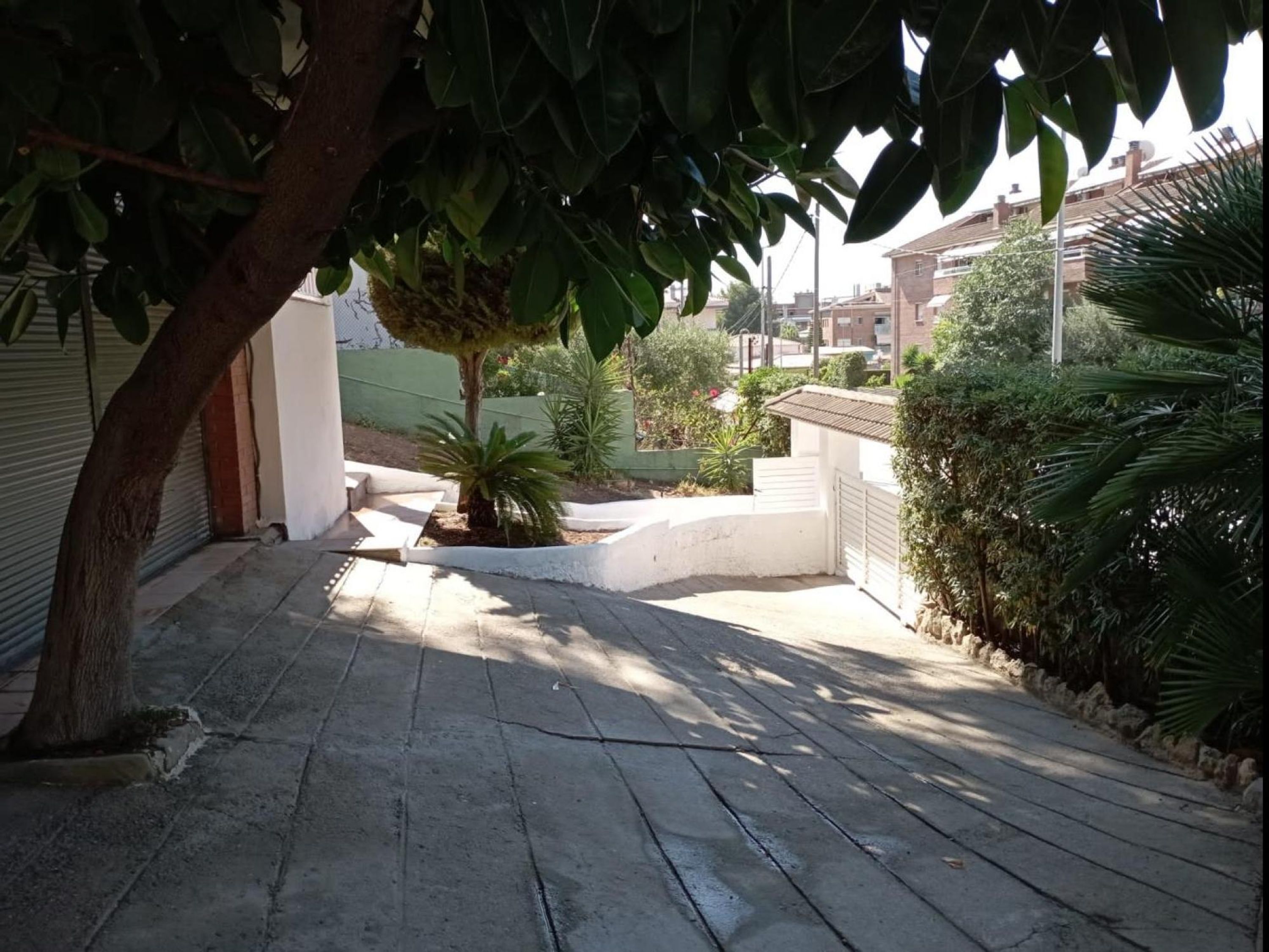 A paved pathway leading to a gated entrance, surrounded by lush greenery and a small palm tree.