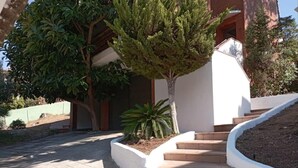 Un edificio con facciata bianca, una serie di gradini in pietra che conducono a una porta, e un piccolo albero di fronte.