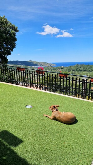 Property grounds - Palinuro: A Spectacular View (Centola)