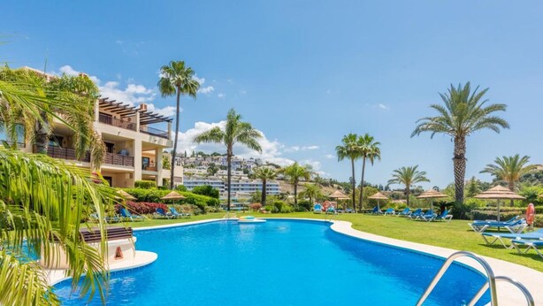 Ein Resort-Pool mit klarem, blauem Wasser, umgeben von Palmen und Liegestühlen.