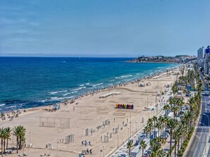 A beach with a road alongside, palm trees, and a clear sky. - Apartamento N Utico (Alicante)
