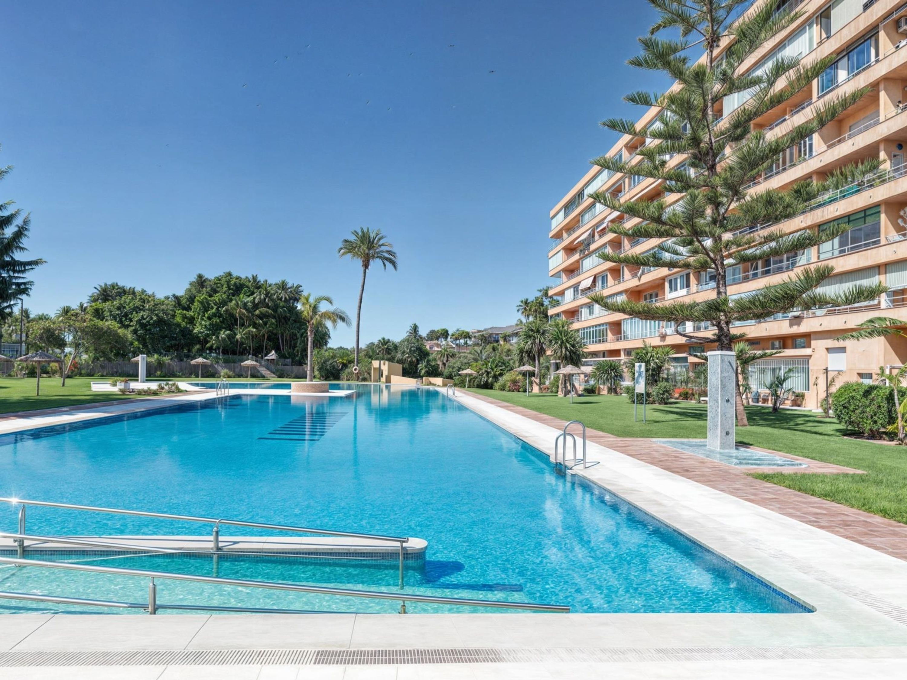 Ein Swimmingpool mit klarem, blauem Wasser, umgeben von einem gepflegten Rasen und Palmen.