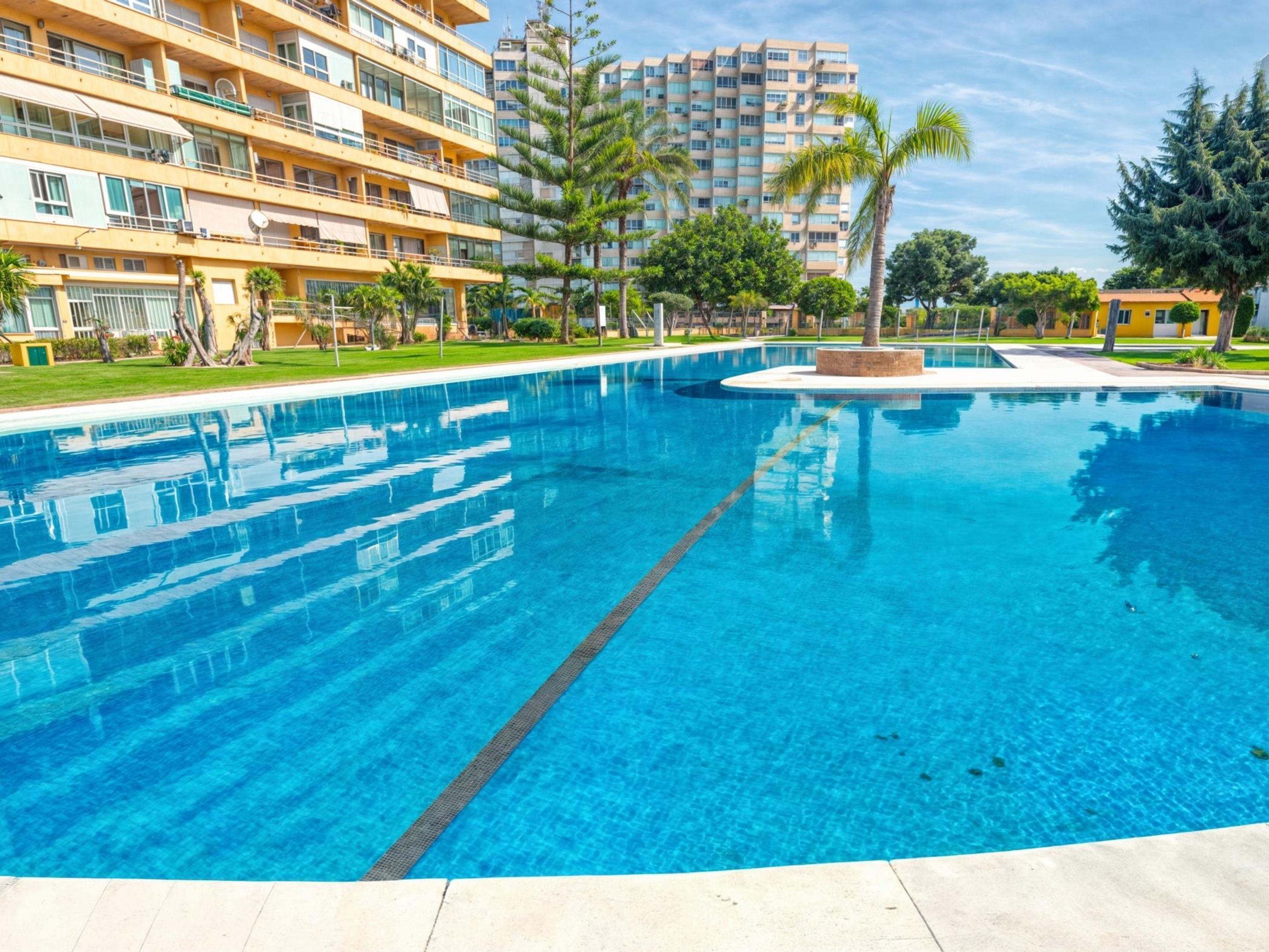 A swimming pool with clear blue water, surrounded by a well-maintained lawn and palm trees.