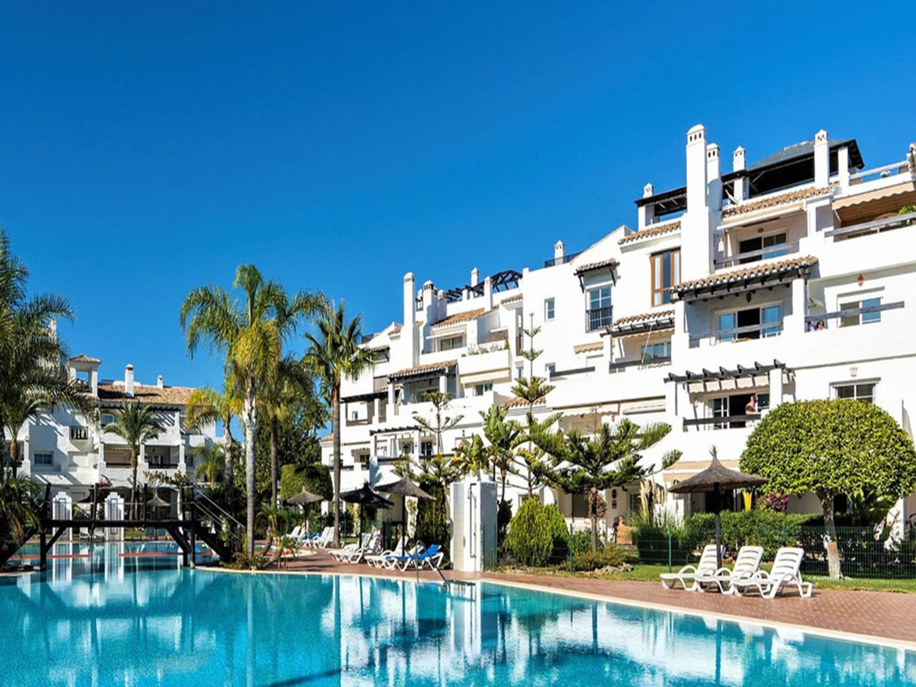 A hotel with a swimming pool, palm trees, and lounge chairs.