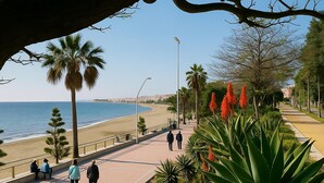 Un paseo marítimo frente a la playa, con palmeras y gente caminando.