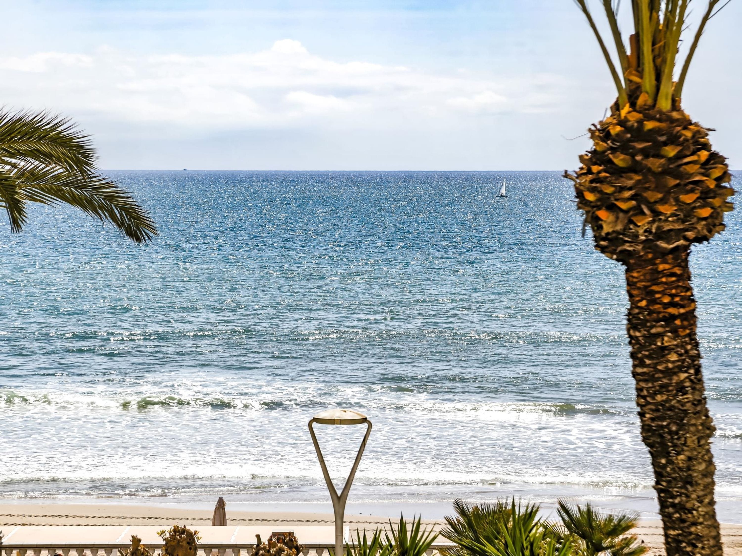 Appartement | 1 chambre