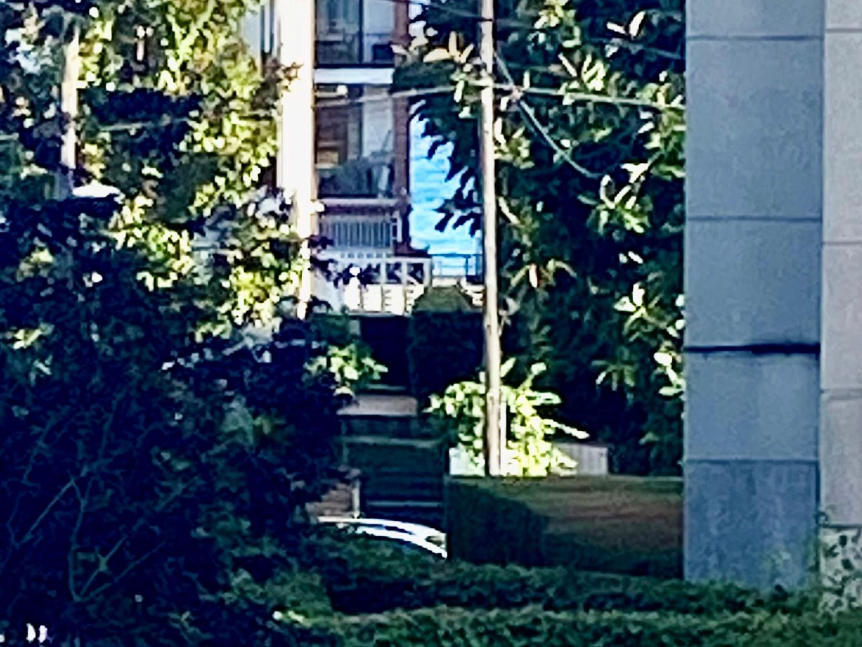 Apartamento | 3 dormitorios