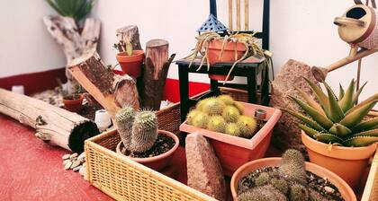 Casa el Esca o en Granadilla de Abona