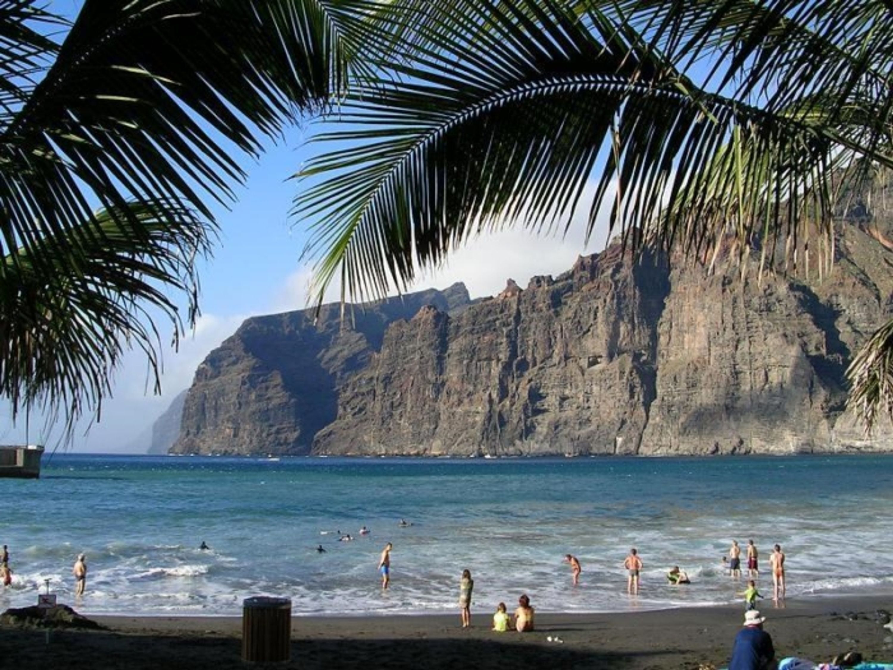 A beach with people swimming and standing on the sand, palm trees, and a rocky cliff in the background.