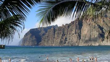 Apartment | 1 bedroom