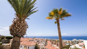 A coastal town with traditional architecture and palm trees. - Tess Mirador de Ensue o con Vistas Panor Micas (Adeje)