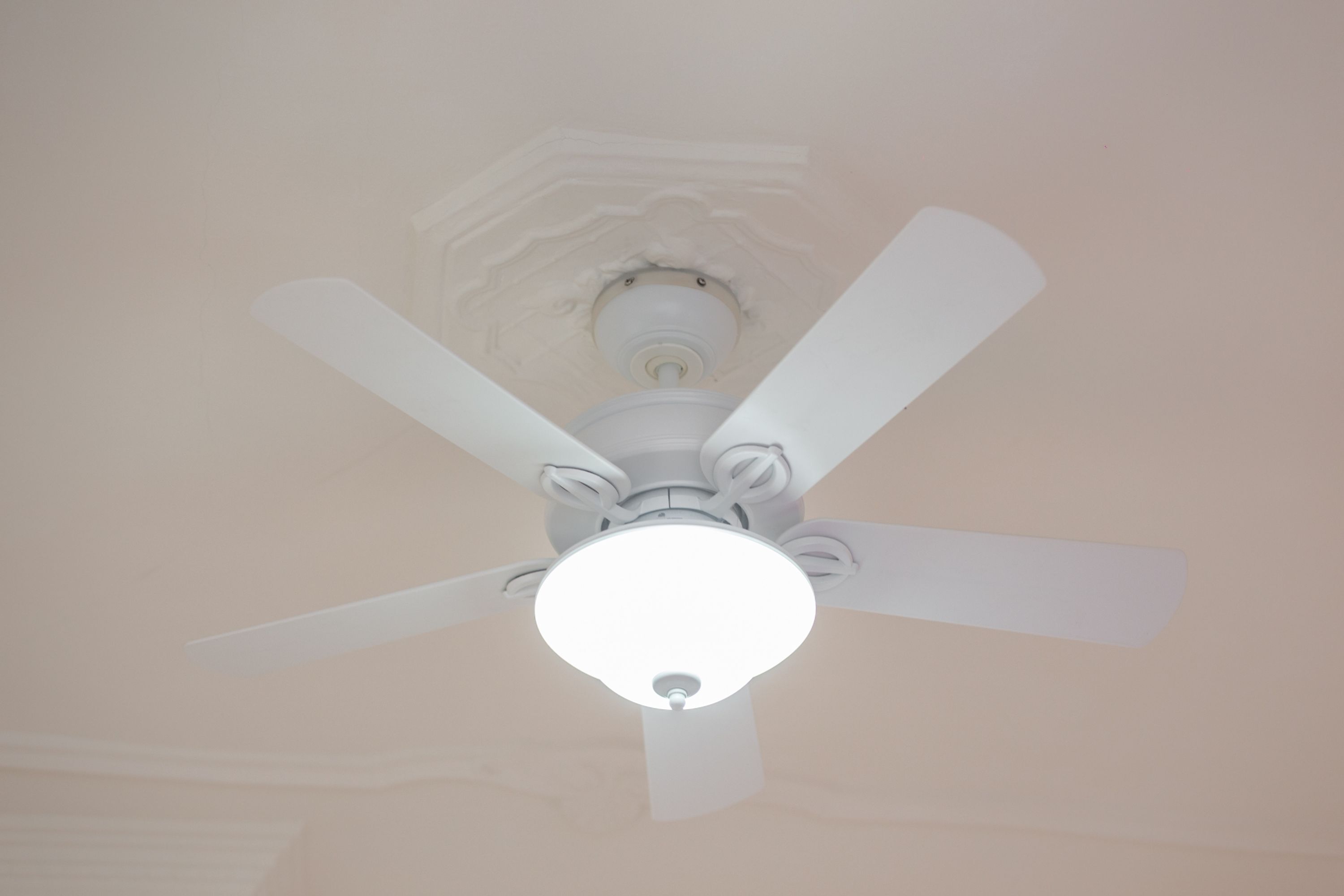 Un ventilador de techo con lámpara.