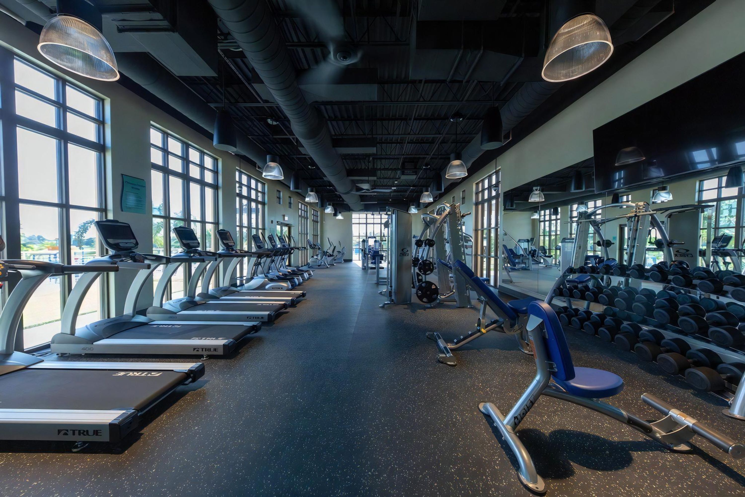 A gym with treadmills, weight machines, and dumbbells.
