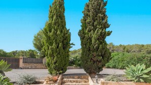A stone staircase leading up to a pathway flanked by two tall cypress trees. - Villa Can Fumeral Modern and Seaview Salinas (Sant Antoni de Portmany)