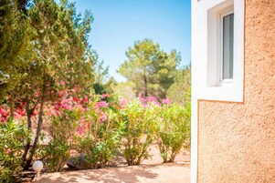 Un jardín con diversas plantas y flores, una pared blanca con una ventana, y un cielo azul despejado.
