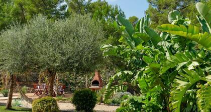 Villa Sa Cuina Ibiza