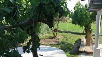 Rumah | 3 kamar tidur