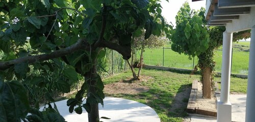 Casa Rous Riumar-1 in Deltebre