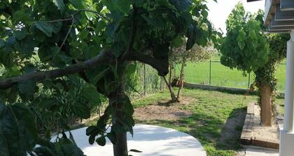 Casa Rous Riumar-1 in Deltebre