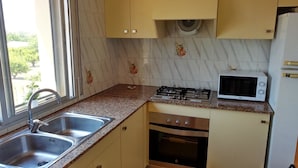 Una cucina compatta con un fornello a gas, un forno a microonde e un lavandino.