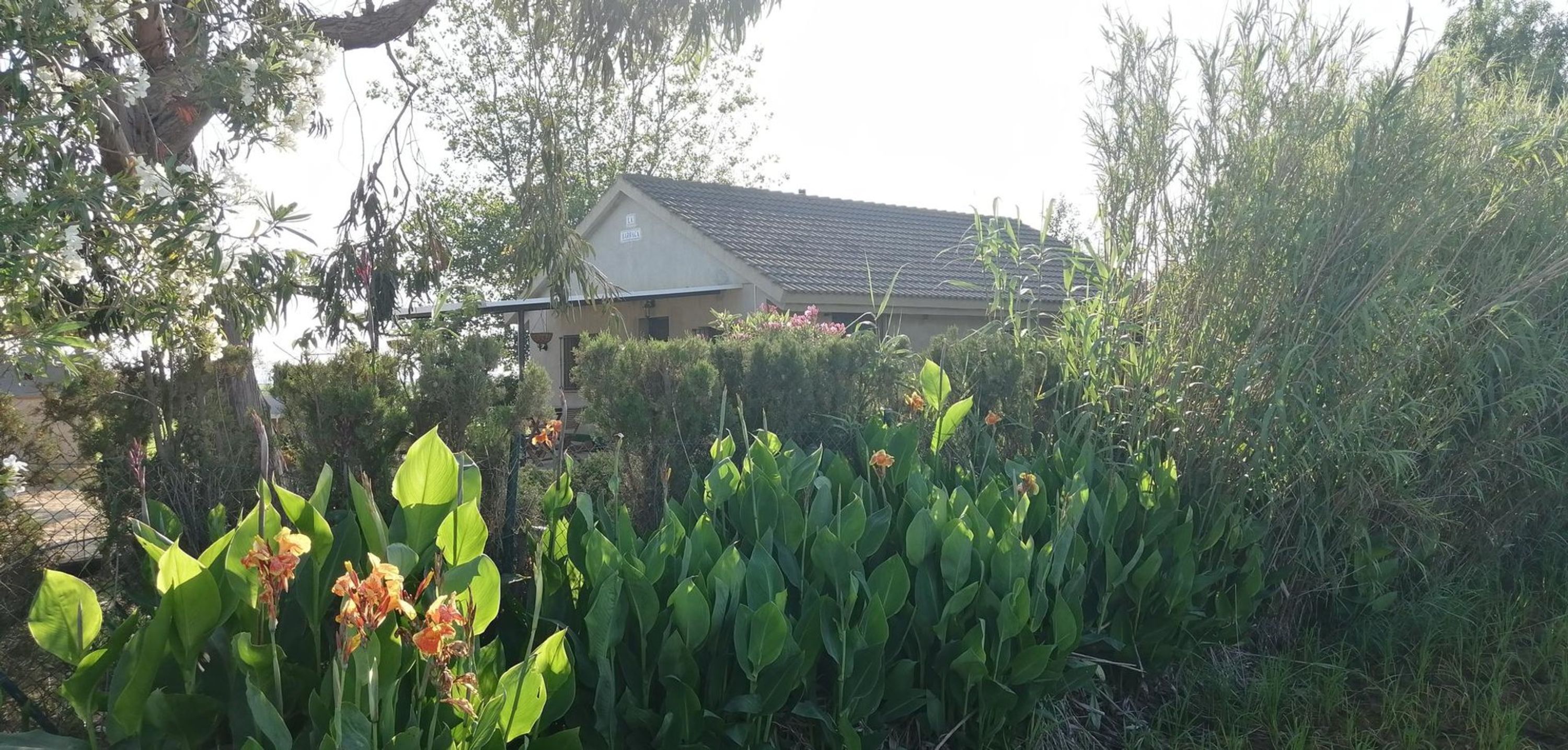 House | 3 bedrooms