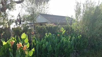 House | 3 bedrooms