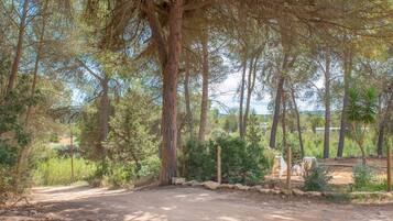 Casa, con acceso para personas discapacitadas, para fumadores | 4 habitaciones